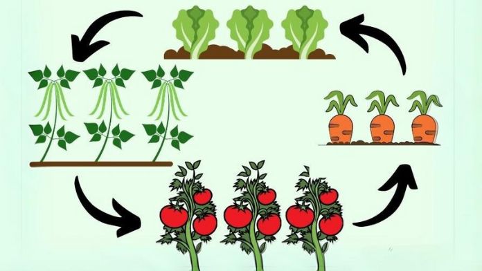 Crop Rotation Important