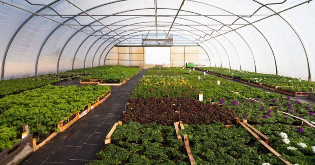 Challenges and the Future of Farm toTable