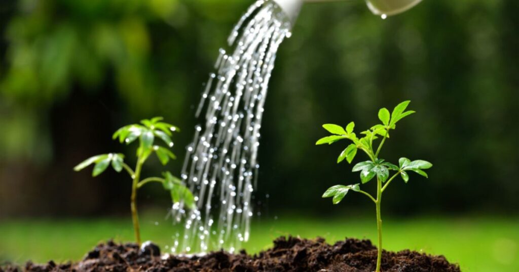 Benefits of Hydroponic FarmingBenefits of Hydroponic Farming