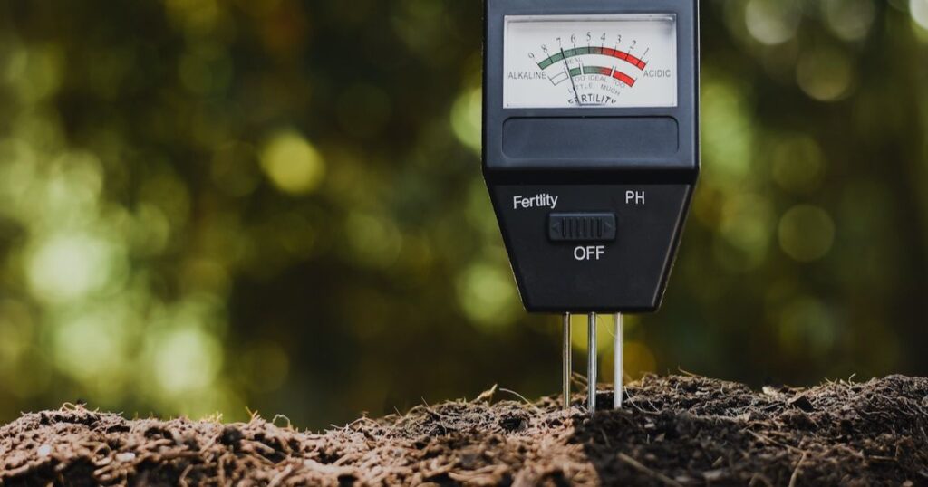 Encouraging Soil Biodiversity