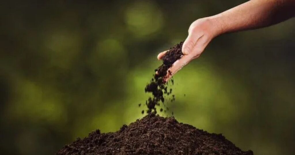Principles of Organic Soil Management