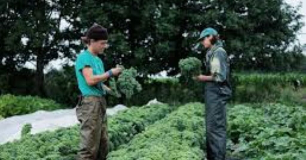 Weed management strategies