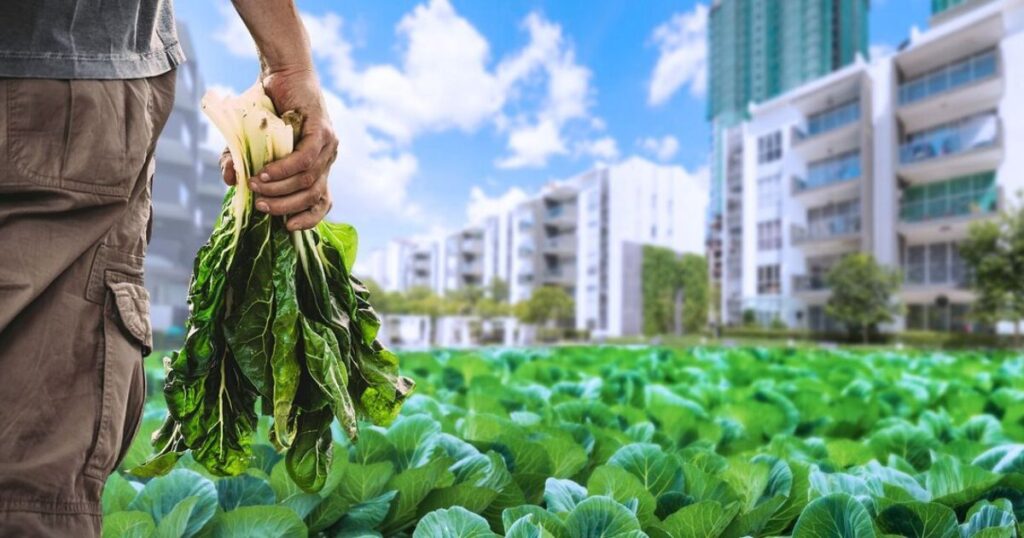 Challenges Facing Commercial Agriculture