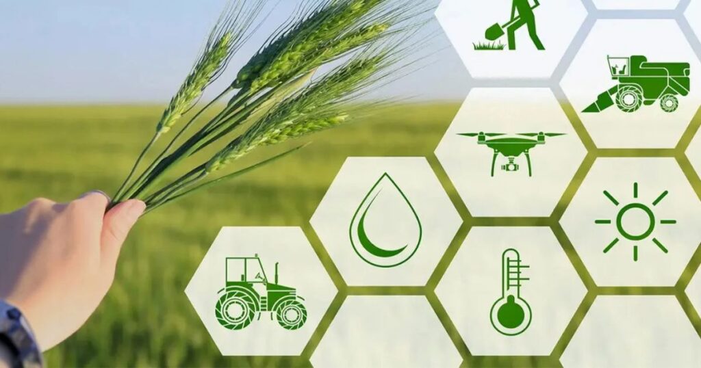 Features of Modern Commercial Agriculture