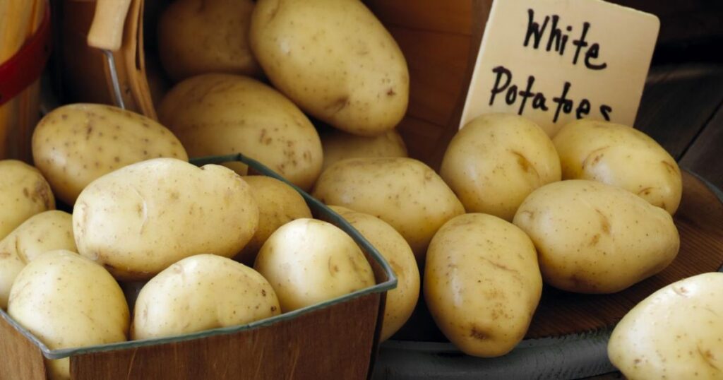 Nutritional Showdown Health Benefits and Drawbacks