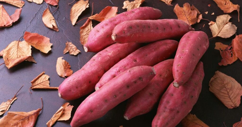 Sweet Potato Black Bean Tacos