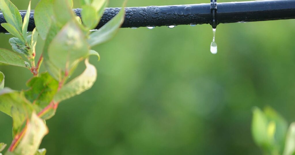 Technological Advancements and Innovations in Flood Irrigation Systems