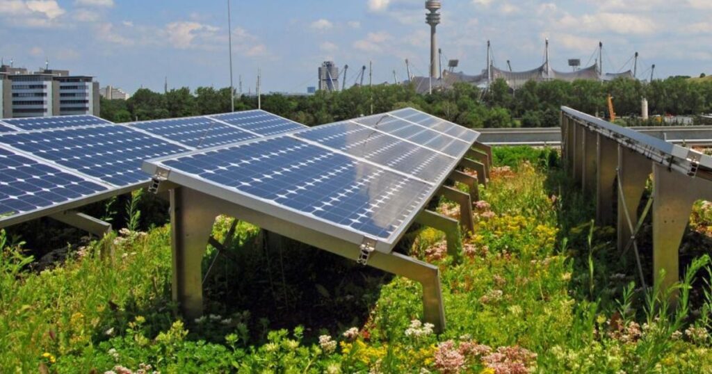 The Future of Agrivoltaics