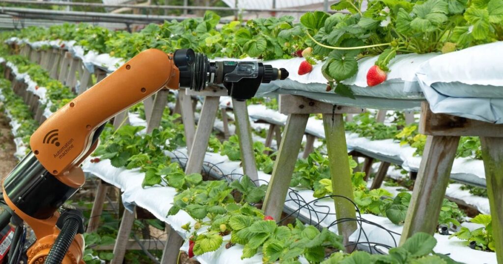 Why is Robotics Becoming Integral in Agriculture