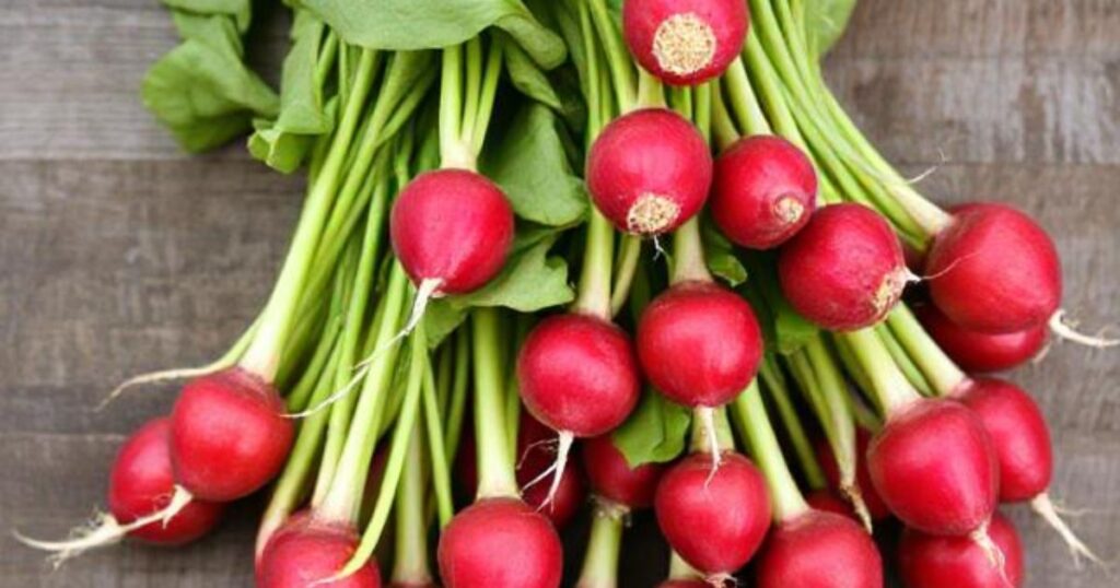 fastest growing vegetables