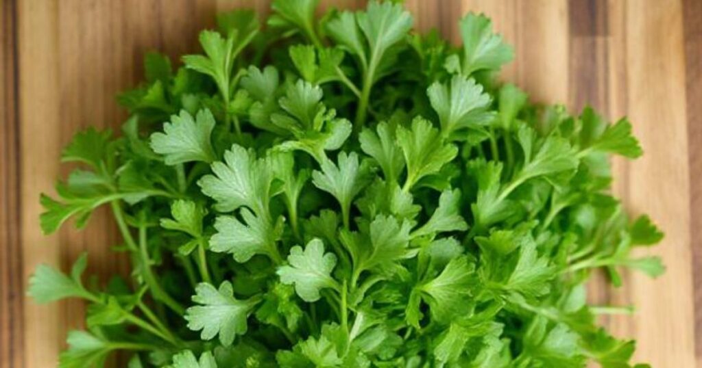 fastest growing vegetables
