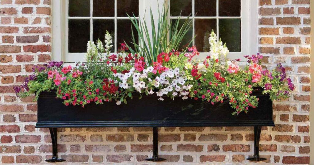 Window Box Tips by Season