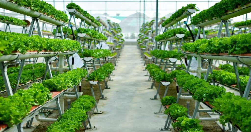 A Brief History of Vertical Farming