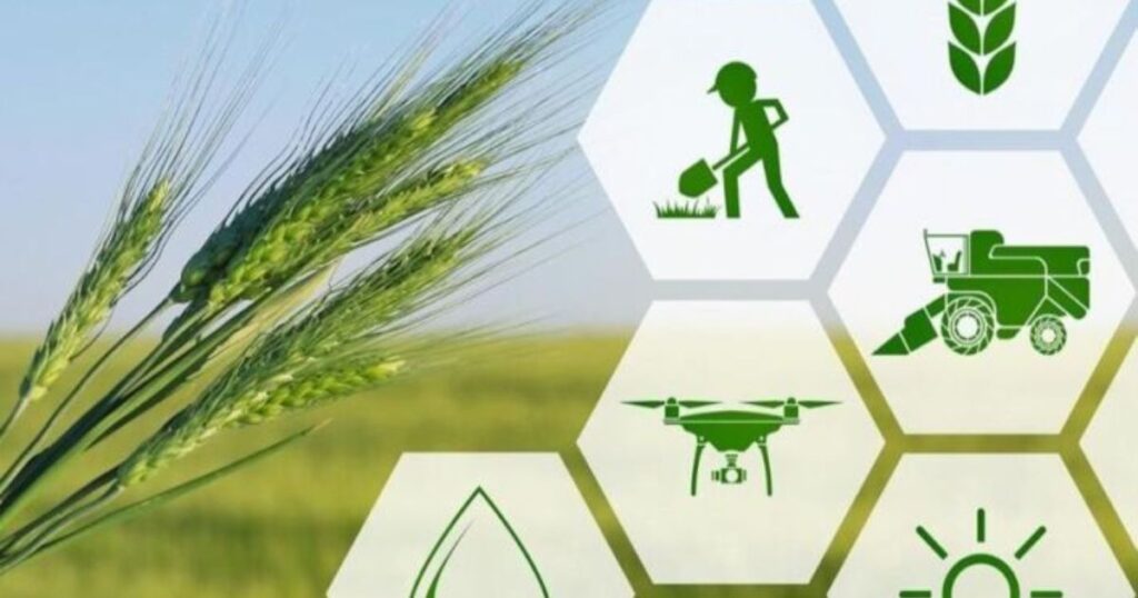 Agriculture as the Foundation of Food Security