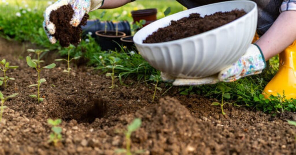 Benefits of Using Manure and Compost