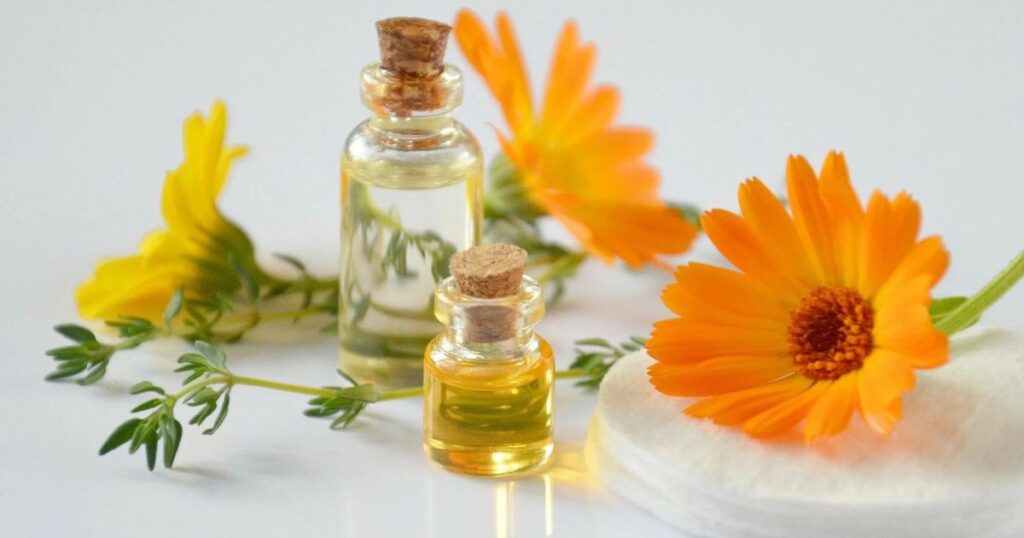 Calendula in Skincare and Beauty