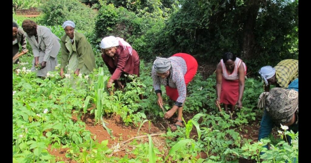 Characteristics of Subsistence Agriculture