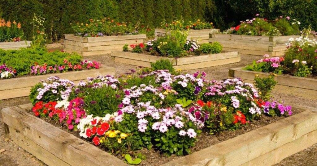 Colorful Flower Bed Ideas for Inspiration