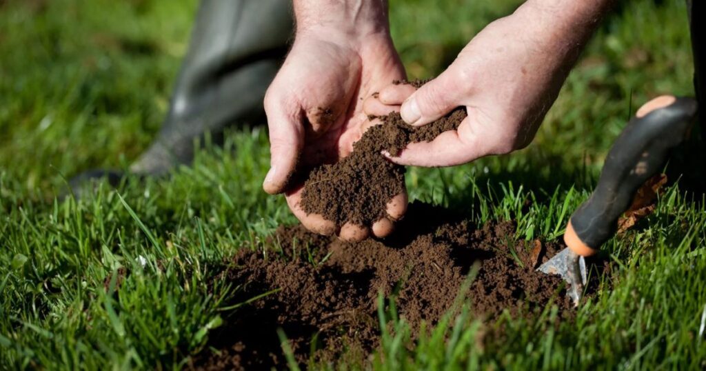 Compost The Black Gold of Gardening