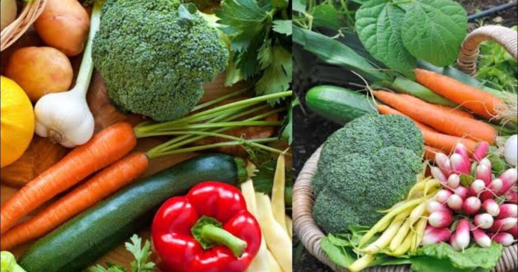 Cool-Season vs. Warm-Season Vegetables