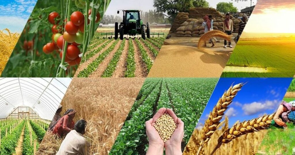 Economic Contributions of Agriculture
