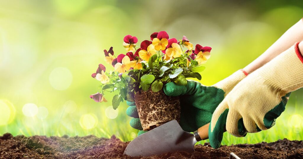 Inspiring Flower Bed Examples Around the World
