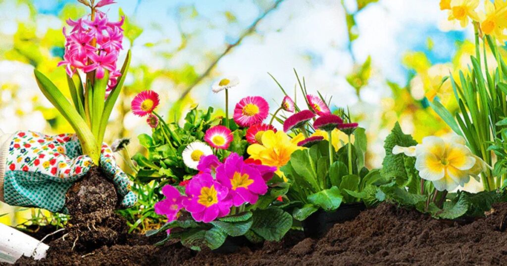 Using Color Theory in Flower Beds