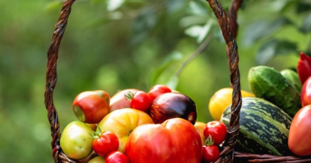 Practical Tips for Implementing Companion Planting
