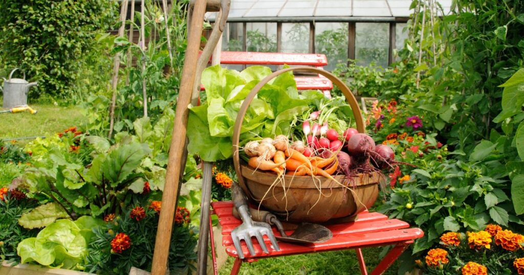 The 15 Best Vegetables to Plant in Spring