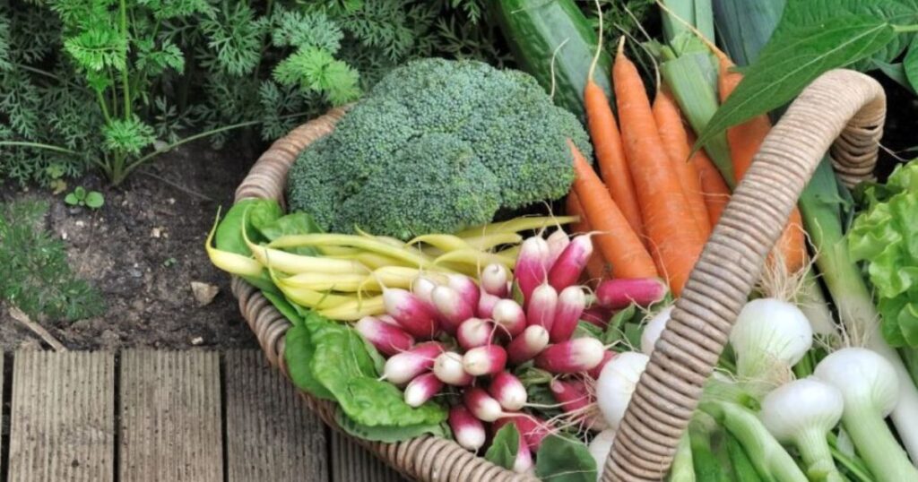 Tips for a Successful Spring Vegetable Garden