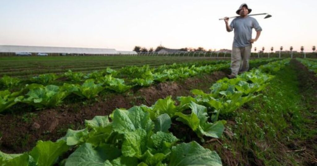 usda freezes farmer funding