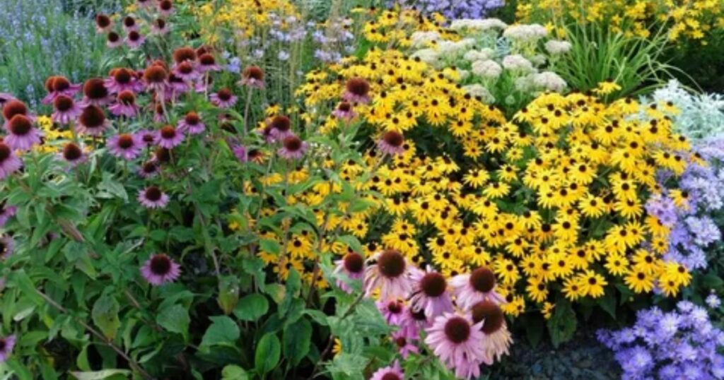 How Perennials Grow