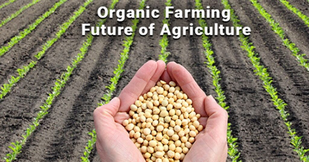agricultural organic