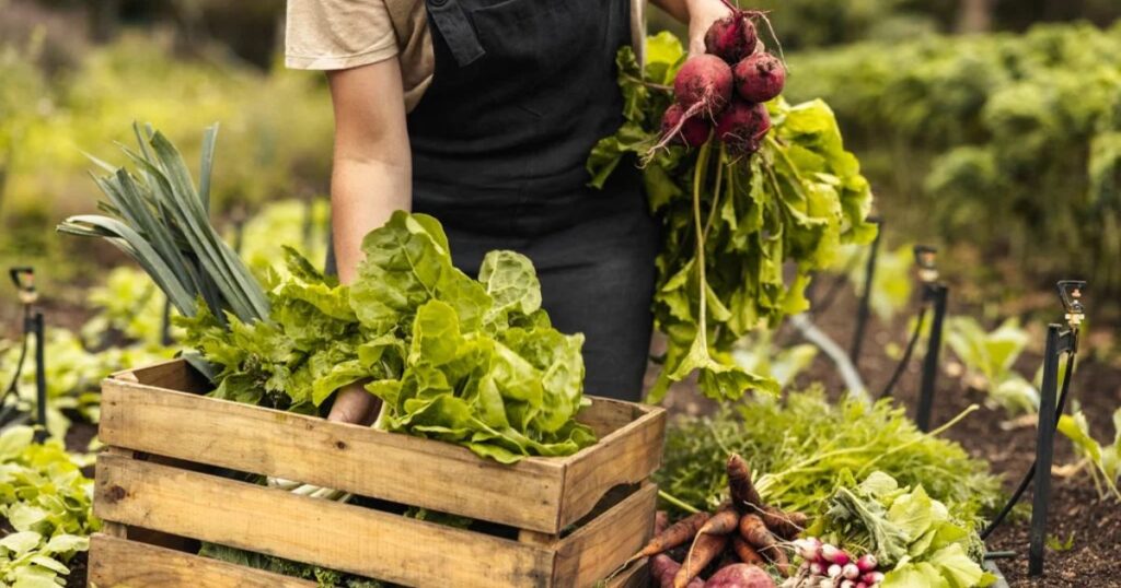 agricultural organic