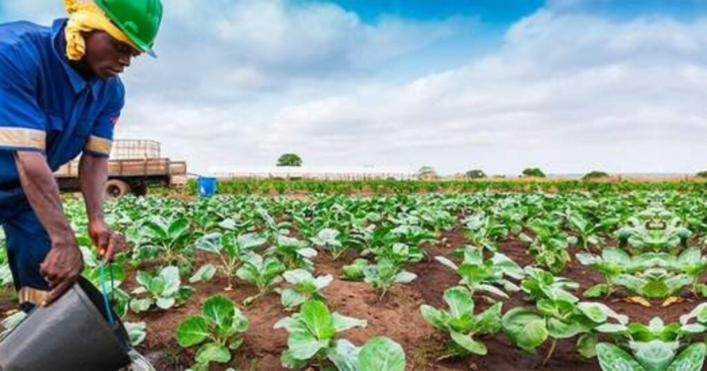 Challenges in Horticultural Crop Production