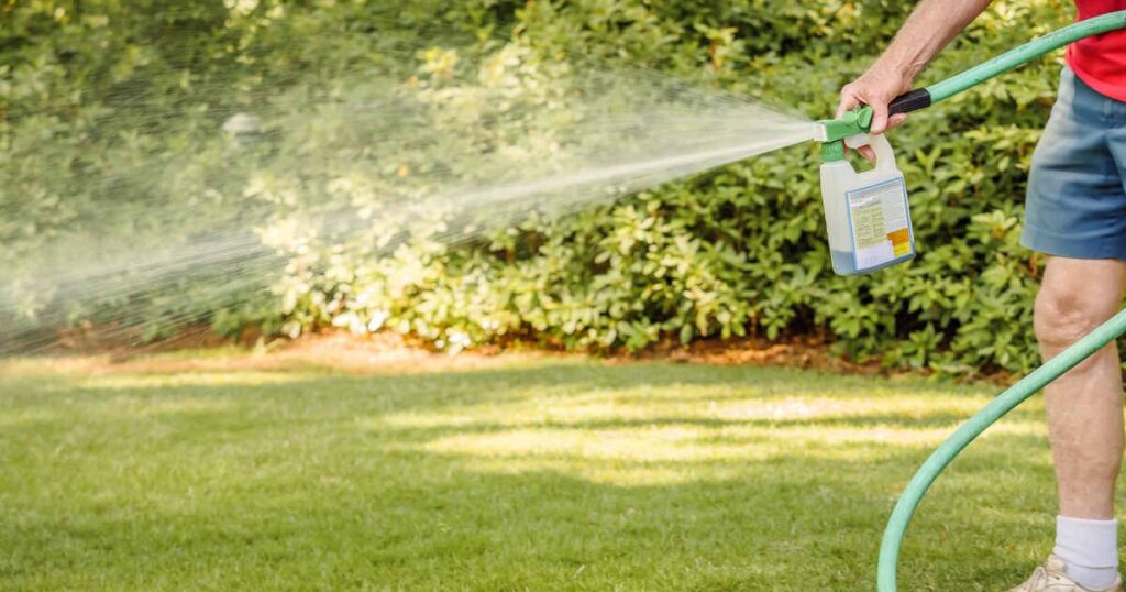 Fertilizer Agriculture