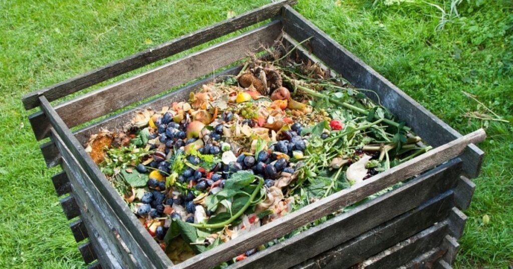 Fertilizer Agriculture