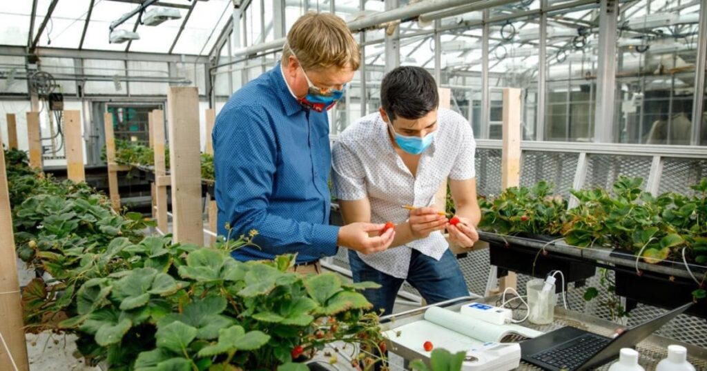 Biotechnology and the Future of Crops