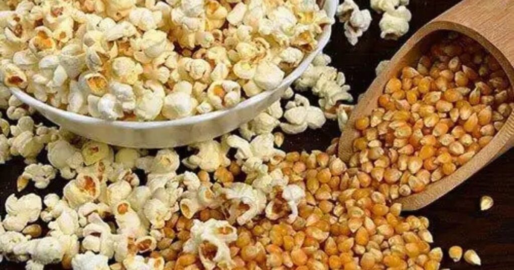 Cultural and Social Importance of Corn