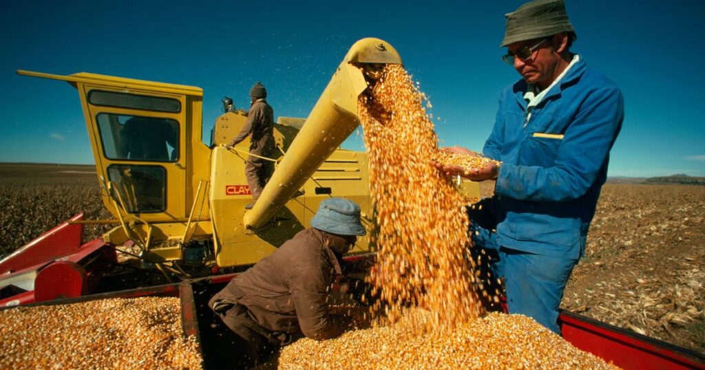 The Future of Corn in the United States