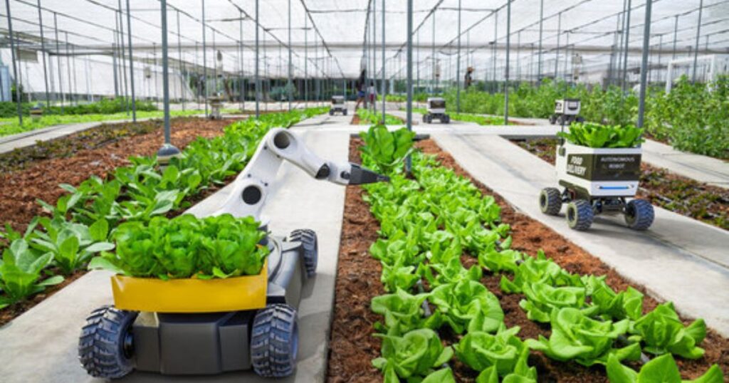 The Rise of Controlled-Environment Agriculture