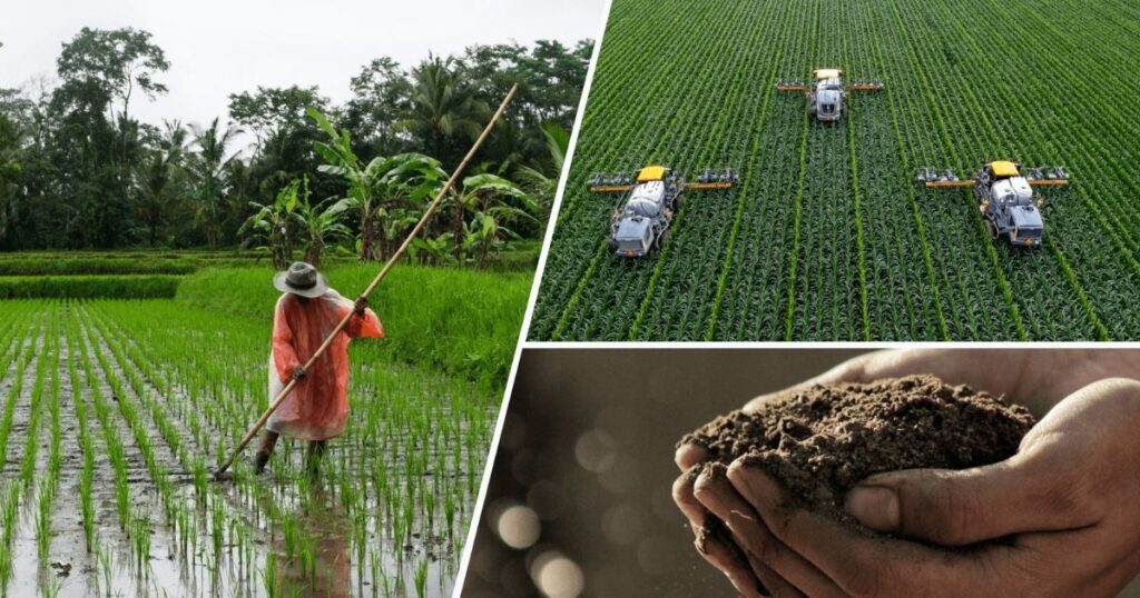 what is traditional farming