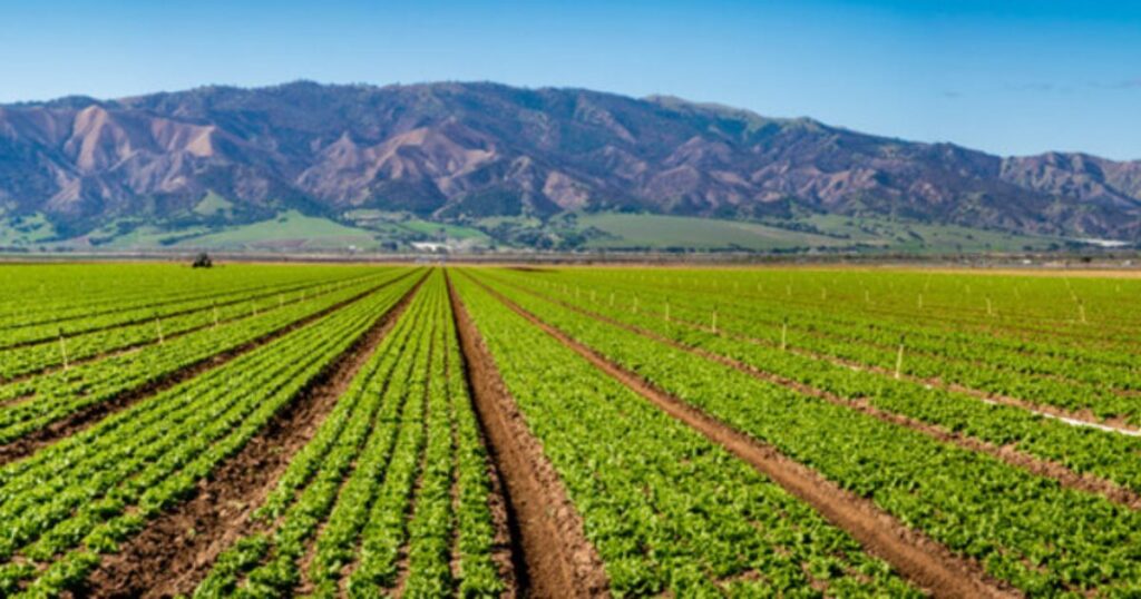 agriculture of california