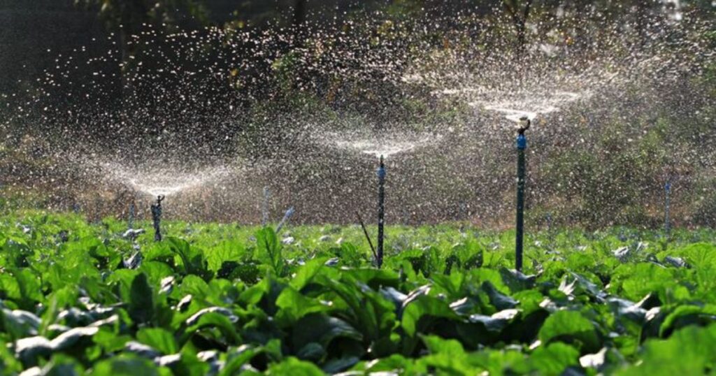 what is spray irrigation