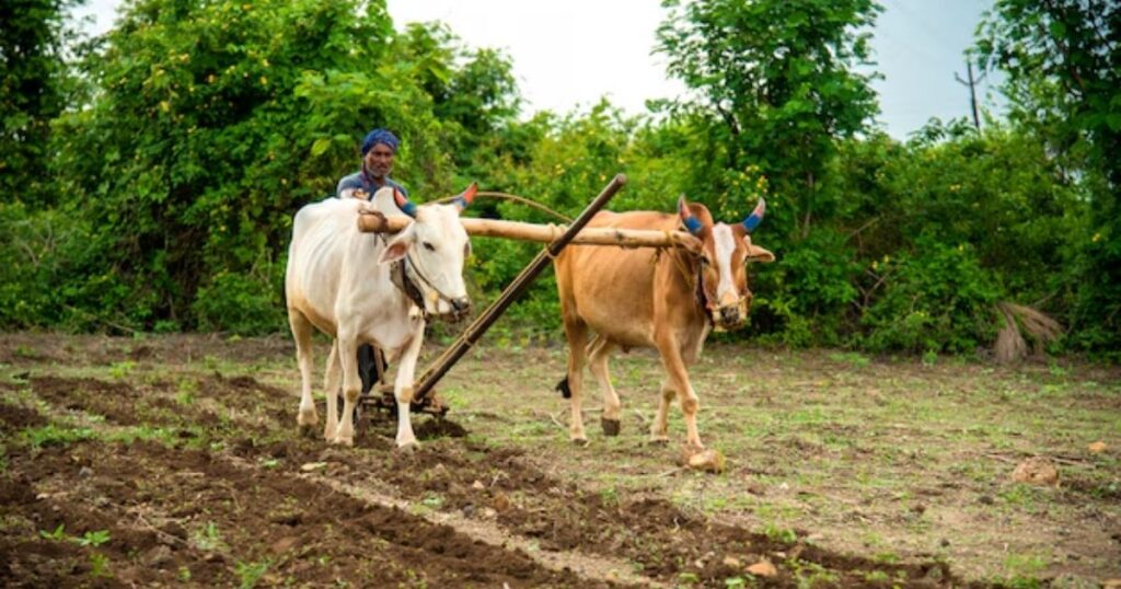 what is traditional farming