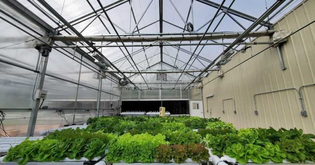 Urban Agriculture and Local Food Systems