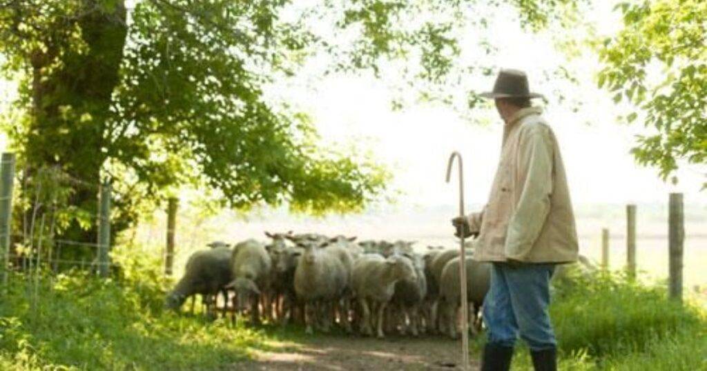 bible verses about farming