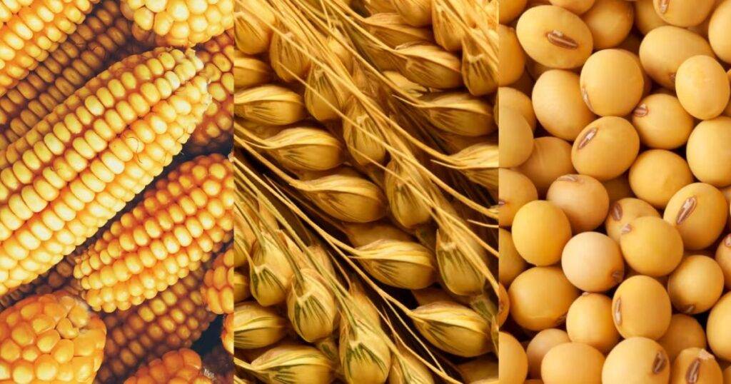 Corn and Soybean Prices