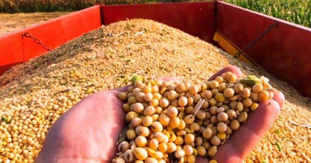 Corn and Soybean Prices