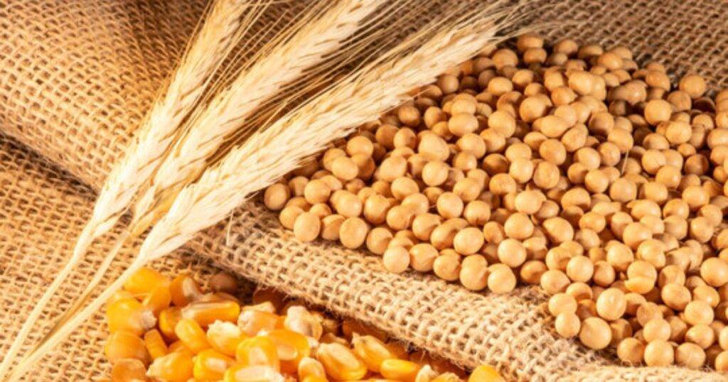 Corn and Soybean Prices
